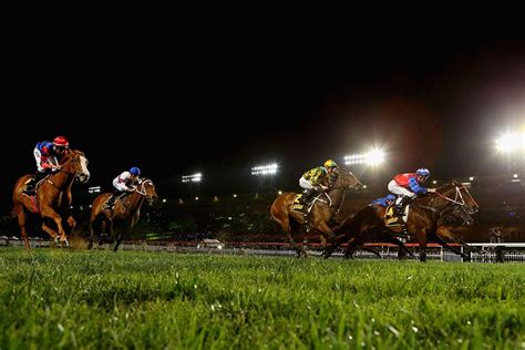 Canterberry Hills betting odds .